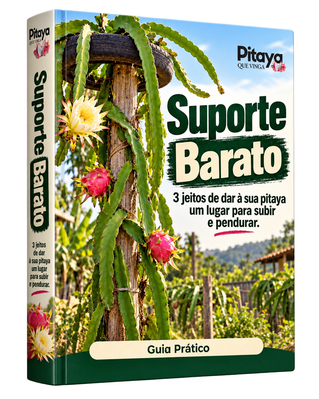 Capa do guia Suporte Barato